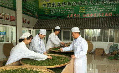 浙江大學(xué)湯一教授親自帶團(tuán)隊(duì)來(lái)火山茶基地支持火山紅茶研發(fā)。